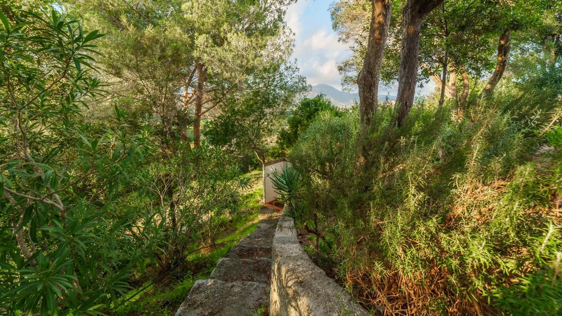 Villa Ai Pini A Punta Perla - Goelba Capoliveri  Italia